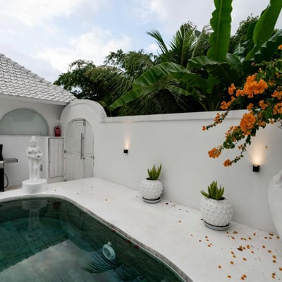 Rental of a premium villa with jacuzzi, sauna, and rice field view, Kecamatan, Bali, Indonesia